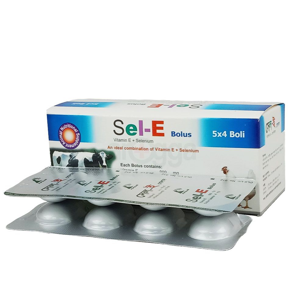 Sel-E  