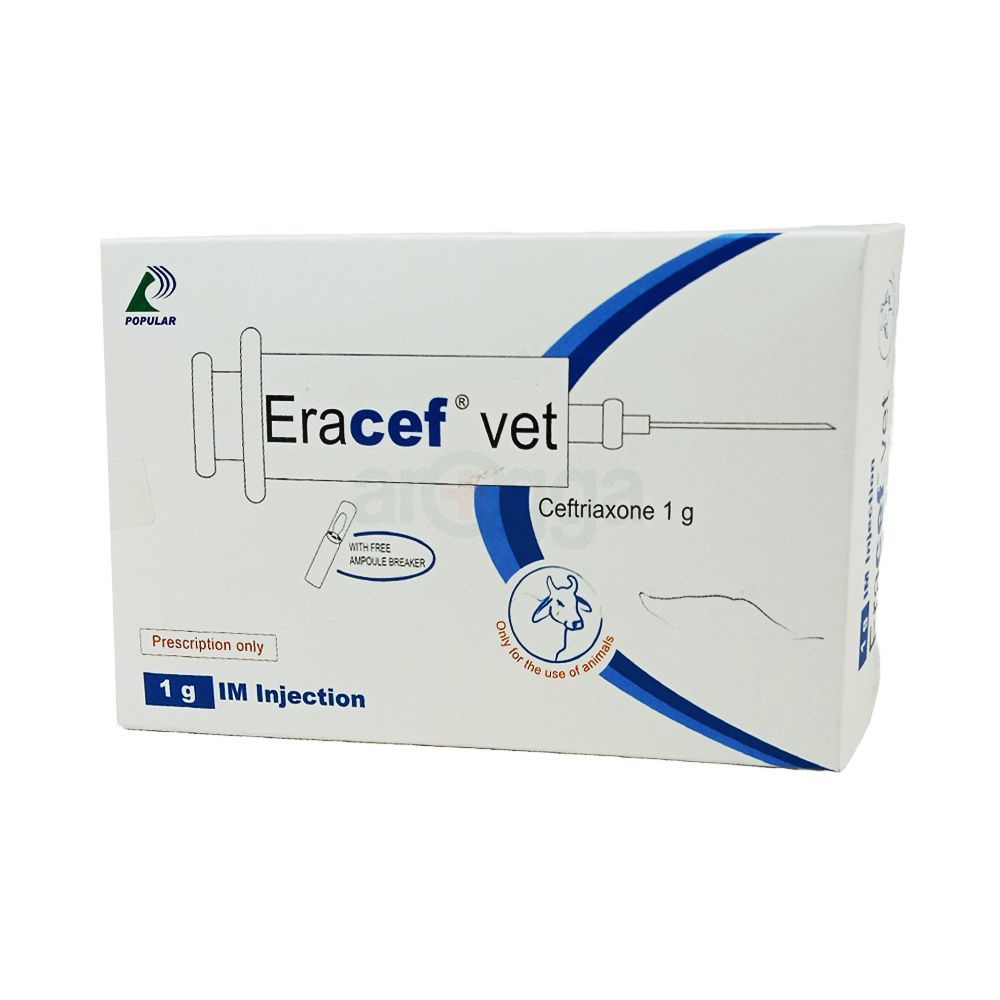 Eracef Vet 1gm IM  