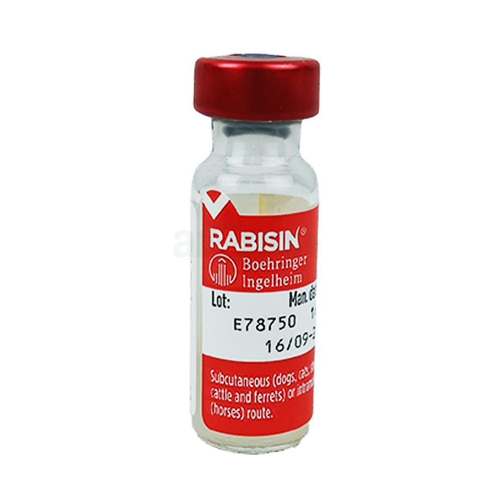 Rabisin Vaccine  