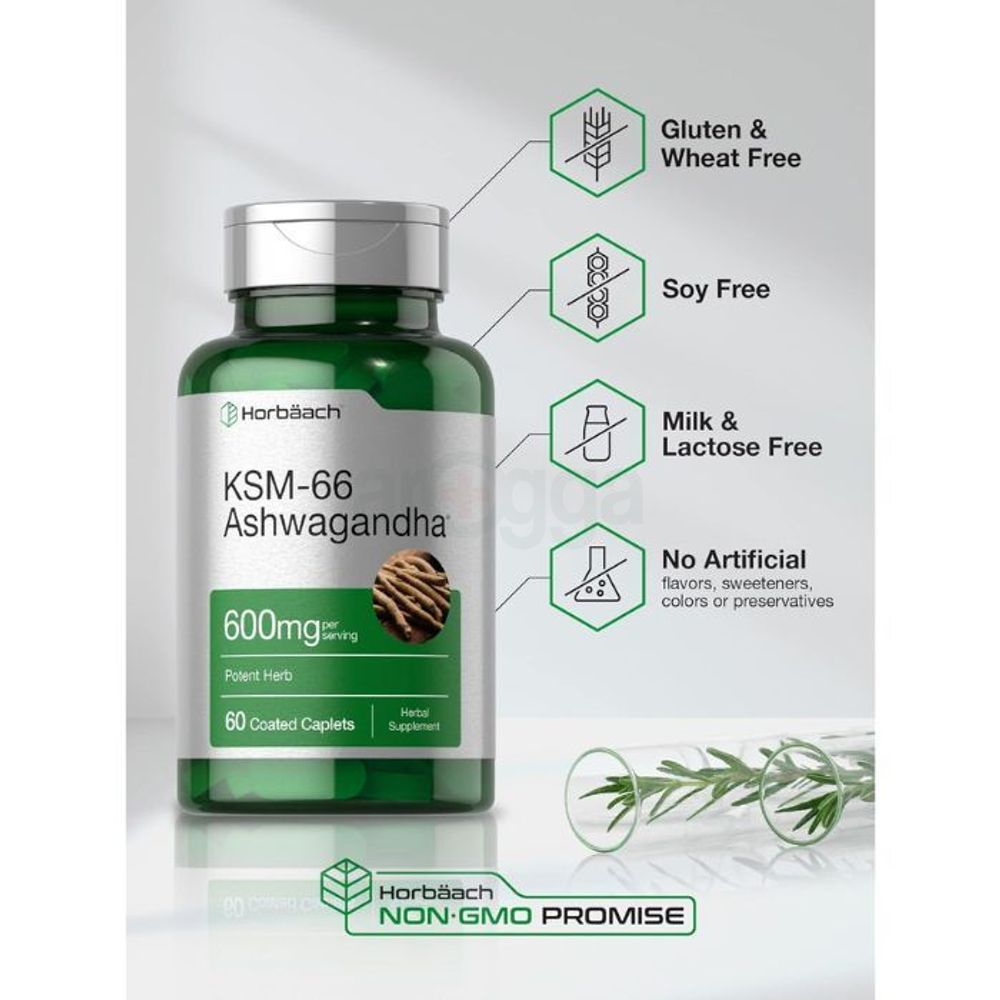 Horbaach KSM-66 Ashwagandha 600mg with L-Theanine 60 Caplets  