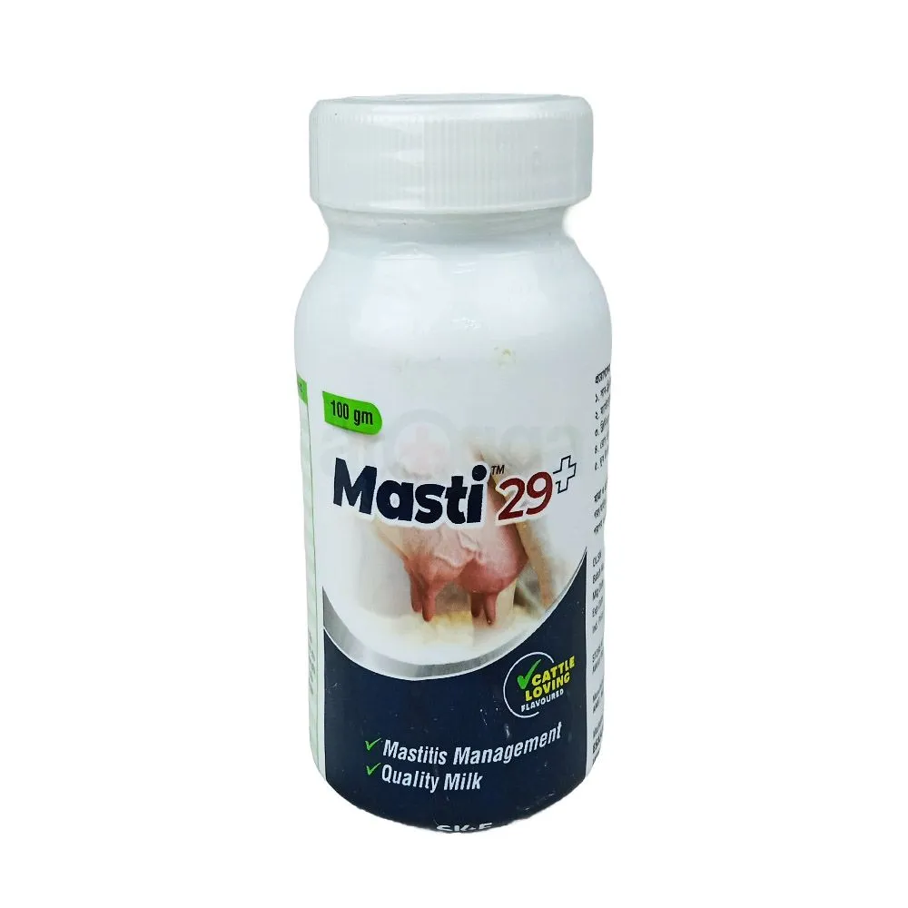Masti 29+ 100gm  