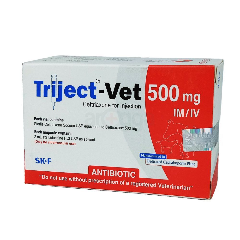 Triject-Vet 500mg IM/IV  