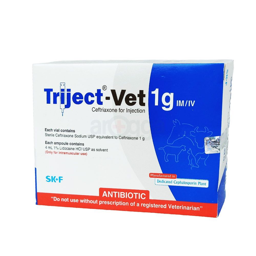 Triject-Vet 1gm IM/IV  