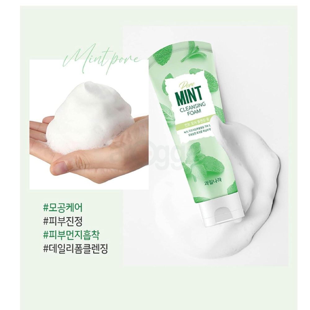 Welcos Pore Mint Cleansing Foam  