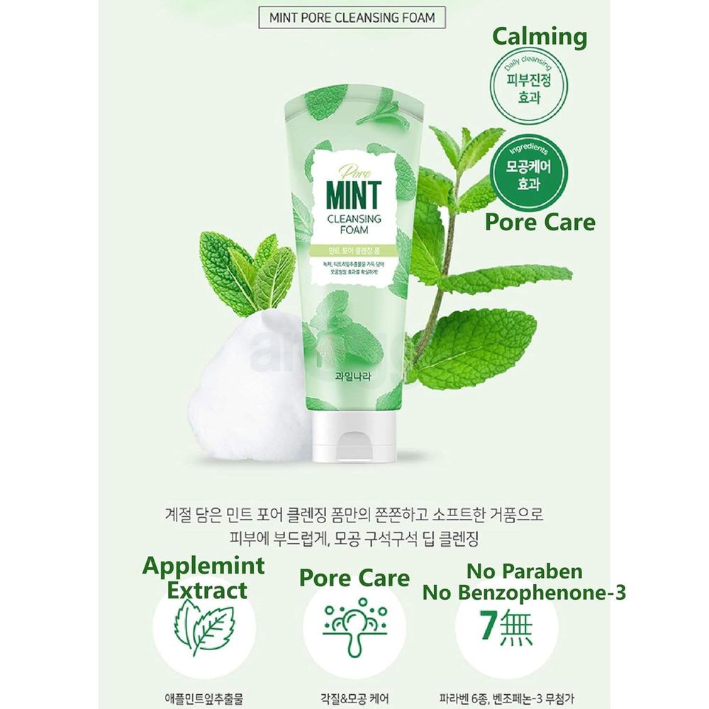 Welcos Pore Mint Cleansing Foam  