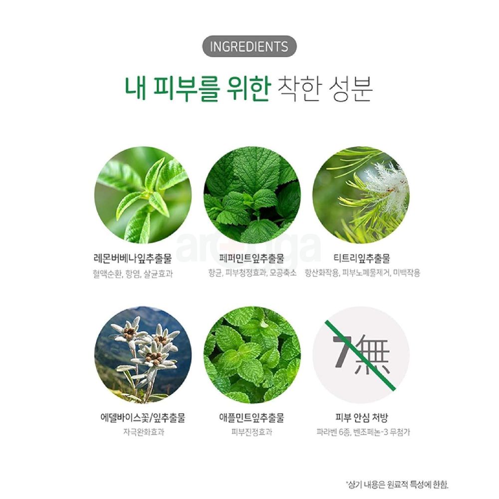 Welcos Pore Mint Cleansing Foam  