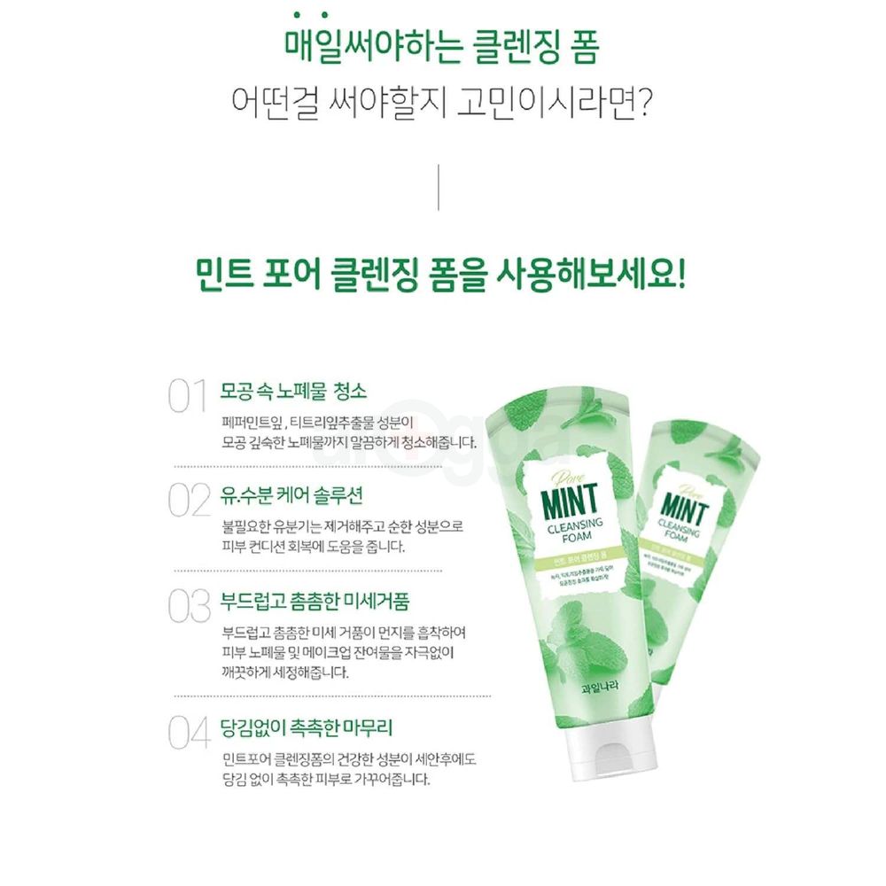 Welcos Pore Mint Cleansing Foam  