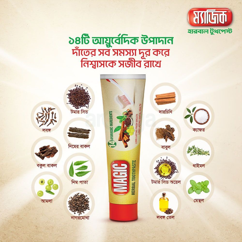 Magic Herbal Toothpaste 200gm (Buy 1 Get 2 Magic Toothbrush FREE)  