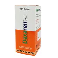 DExaren Vet copy.jpg