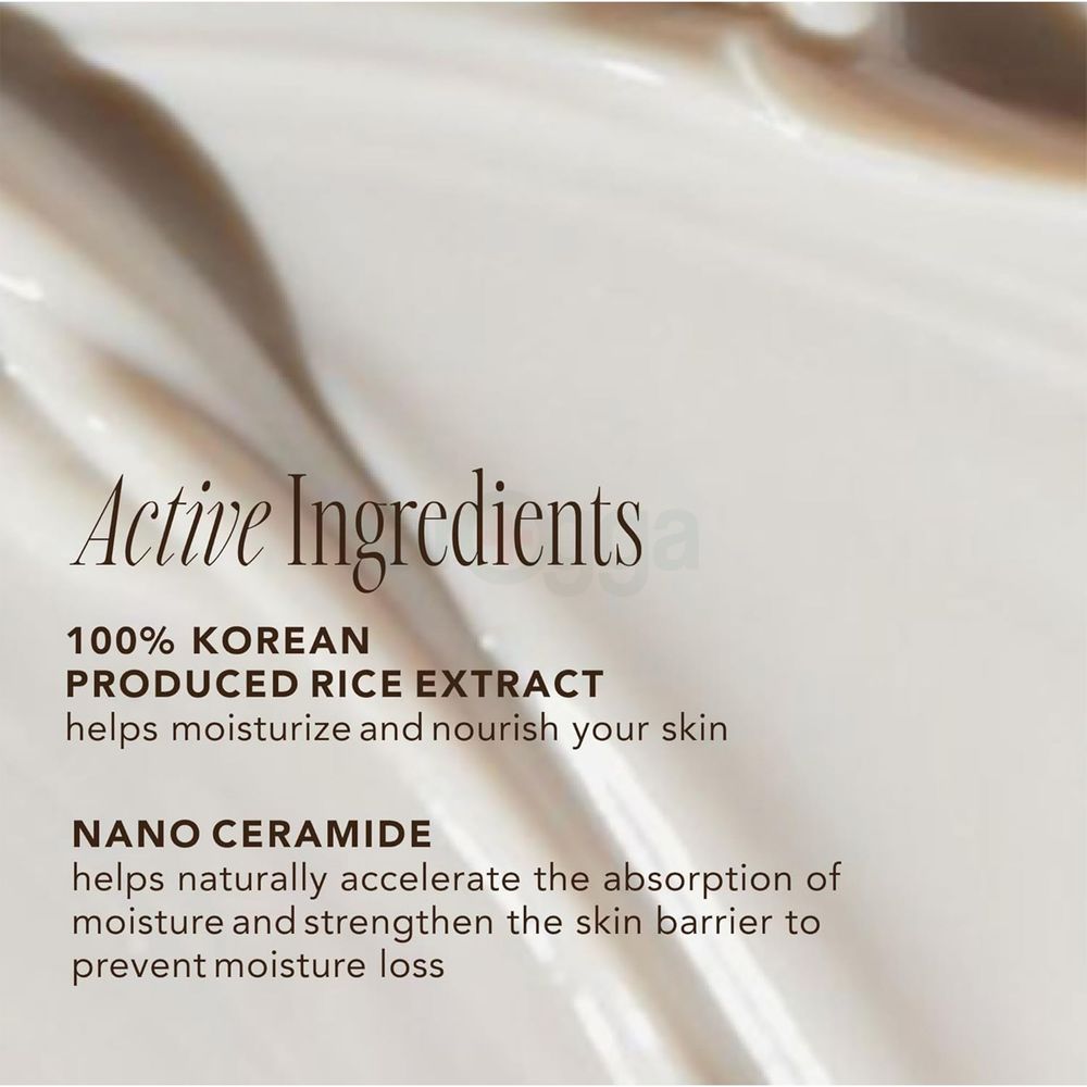 The Face Shop Rice Ceramide Moisture Cream  