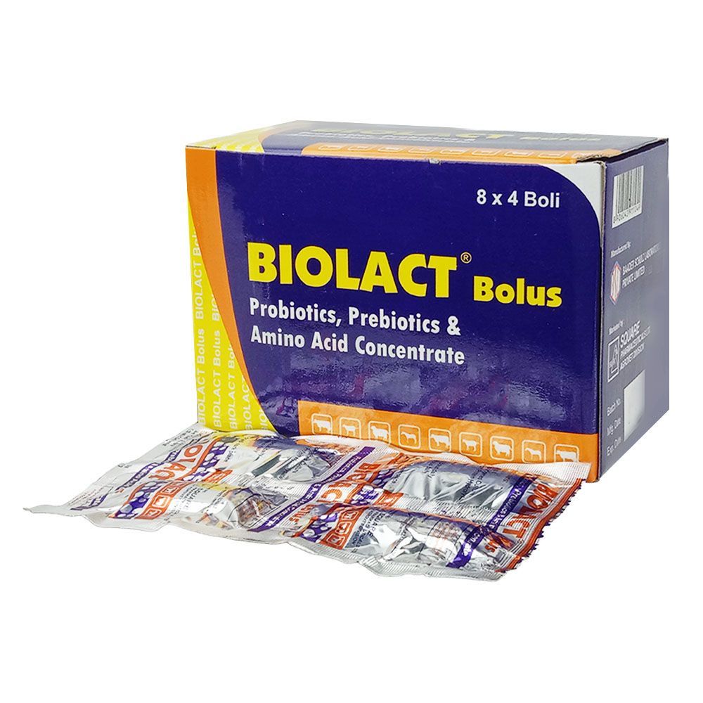 Biolact Bolus  