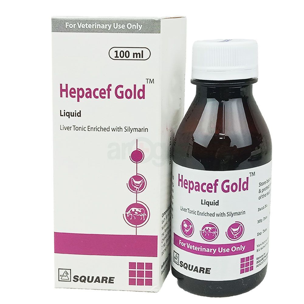 Hepacef Gold Liquid 100ml  