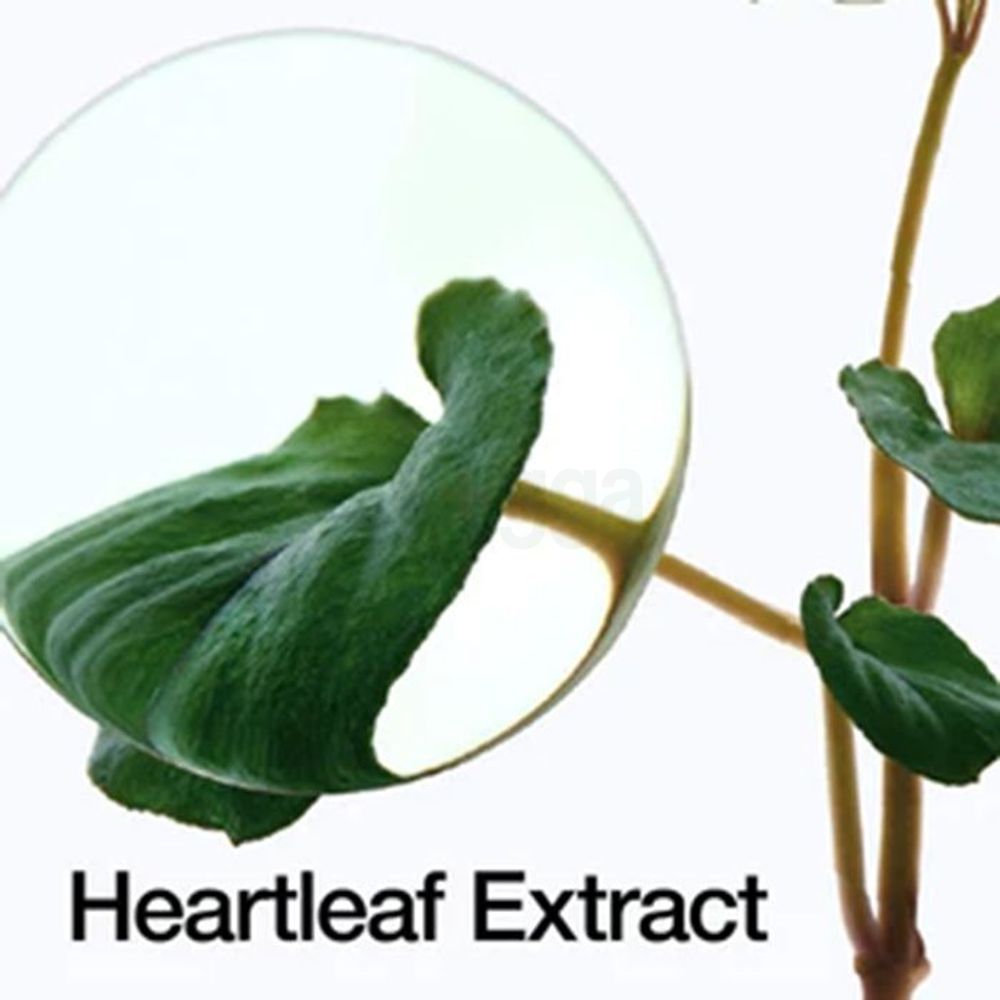 Anua Heartleaf 70% Intense Calming Cream  