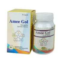 Amee Gol 500mg capsule