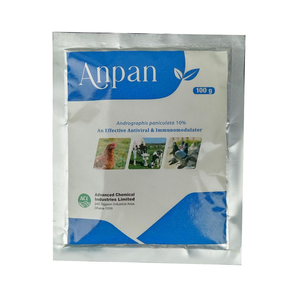 Anpan 100gm  