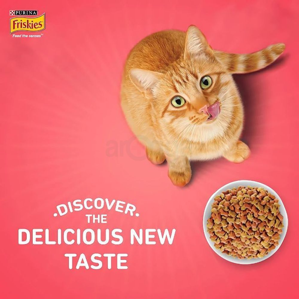 Purina Friskies Kitten Discoveries Dry Food 1kg   