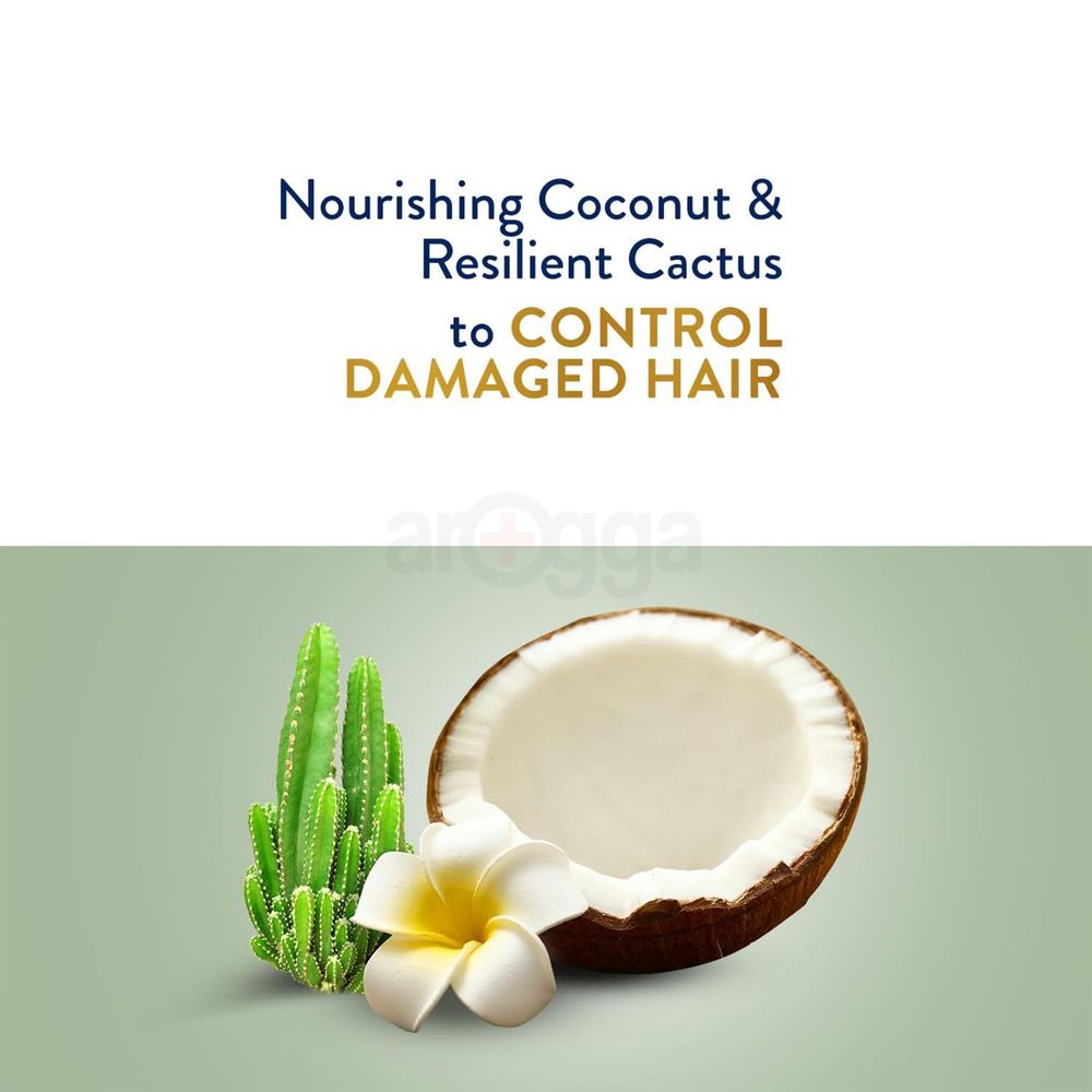 Parachute Gold Hair Cream Damage Repair with Coconut and Cactus  