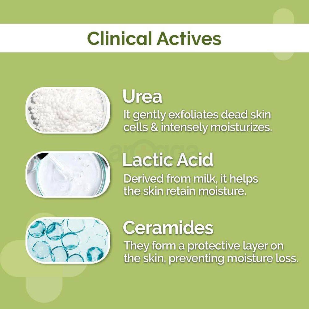 The Derma Co 4% Urea Deep Moisturizing Cream with Lactic Acid & Ceramide Complex for Dry Skin  