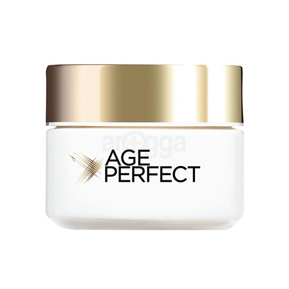 Loreal Paris Age Perfect Collagen Expert Retightening Care Day Cream  