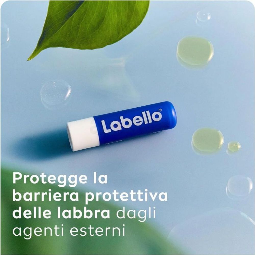 Labello Classic Care Lip Balm for 12h Moisture  