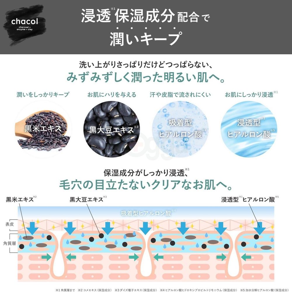 Kumano Cosme Chacol Charcoal Enzyme Clay Facial Foam  