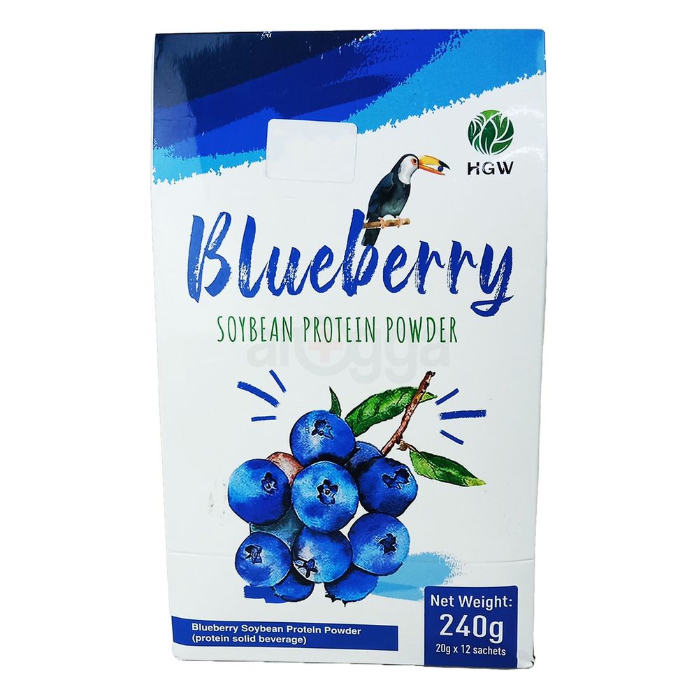 HGW Blueberry Soybean Protein Powder 240gm  