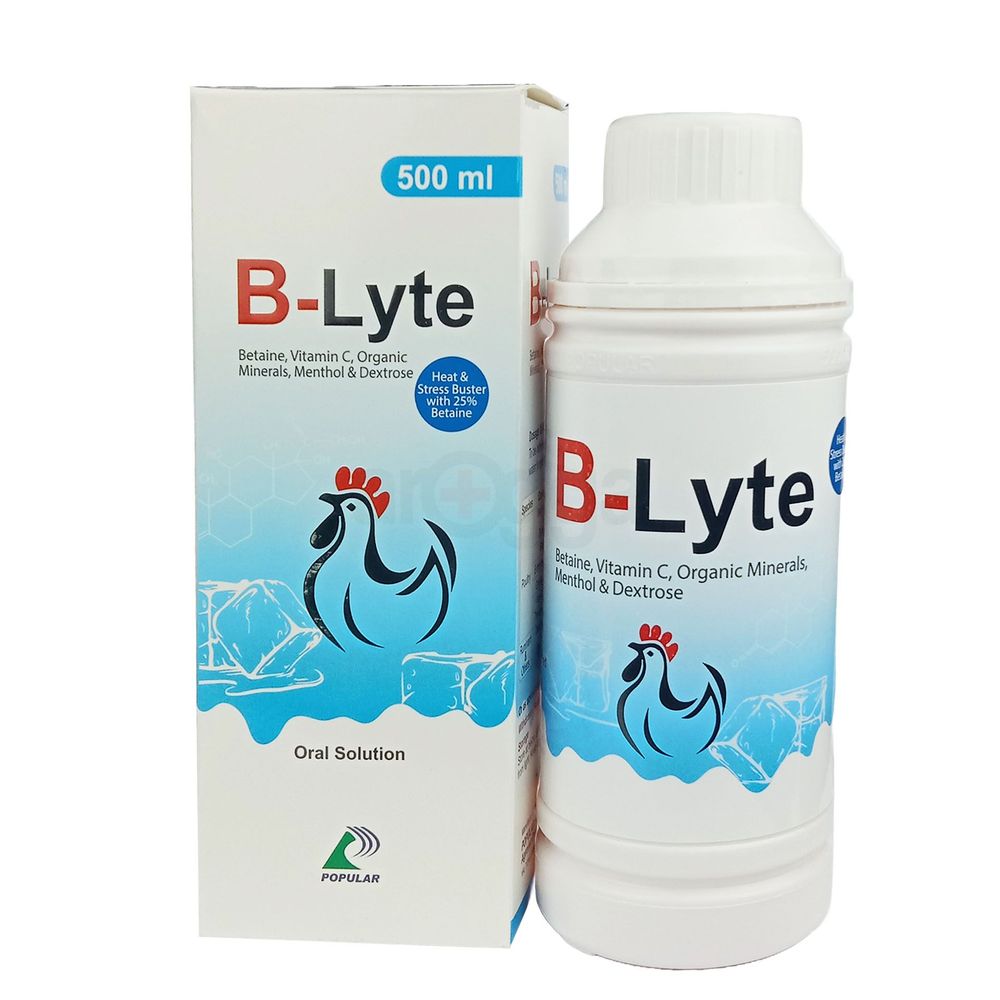 B-Lyte 500ml  