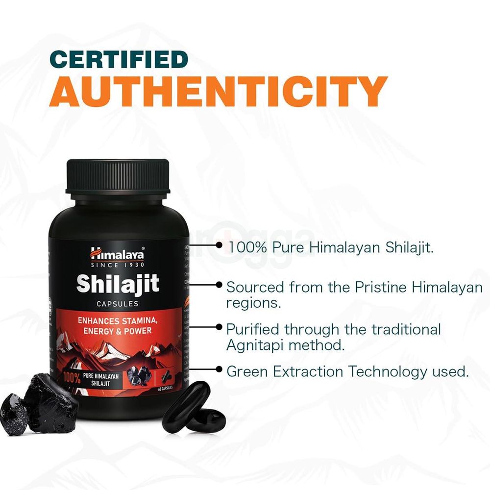 Himalaya Shilajit | 100% Pure Himalayan Shilajit I 60 Capsules  