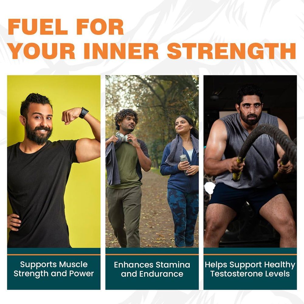 Himalaya Shilajit | 100% Pure Himalayan Shilajit I 60 Capsules  