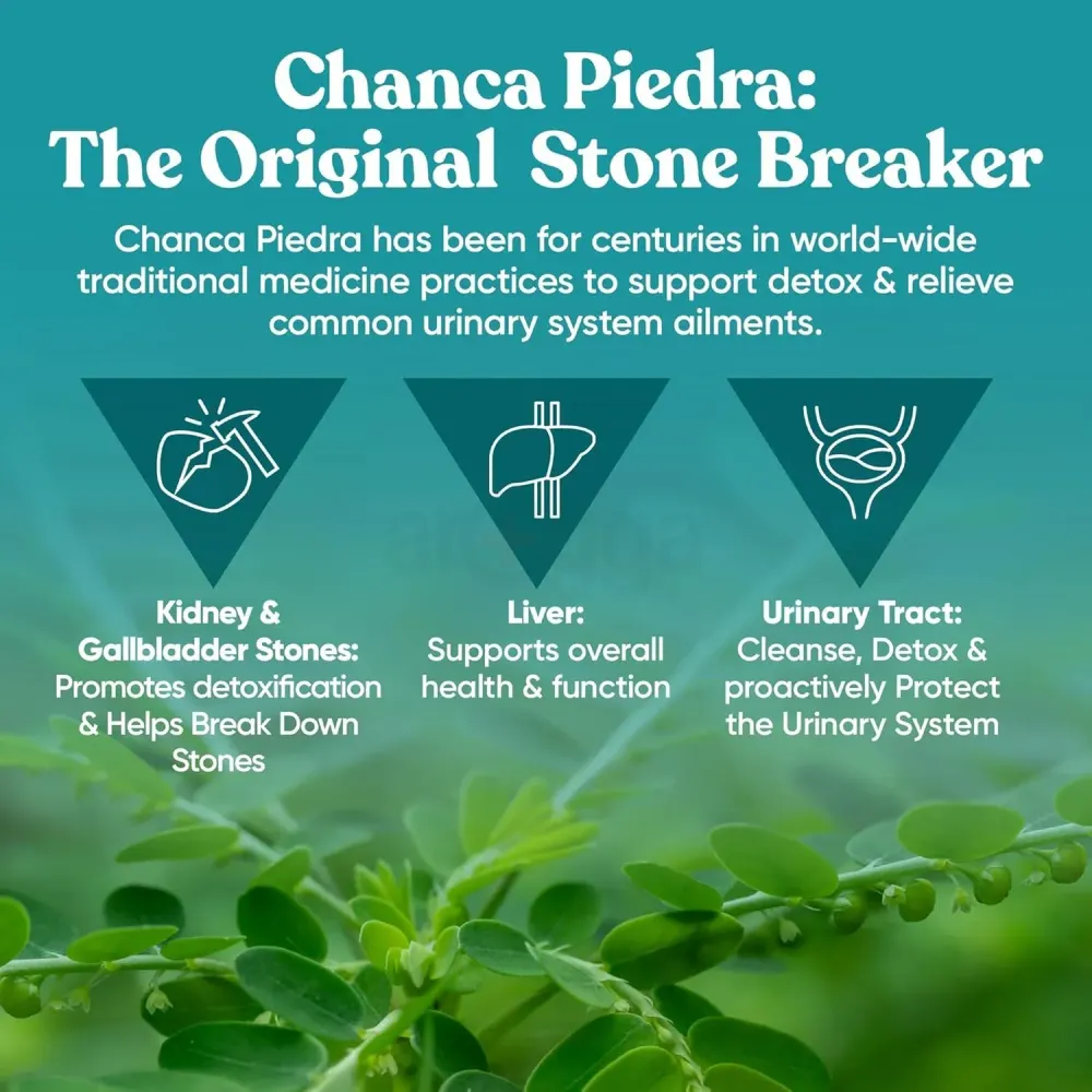 Eu Natural Chanca Piedra Stone Breaker Natural Dissolver, Kidney Cleanse & Gallbladder Supplement Detoxify 60 Caps  