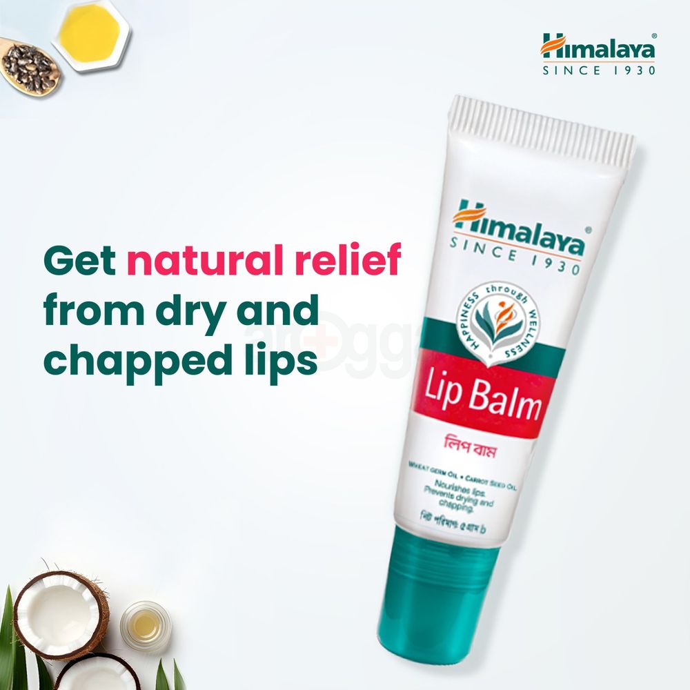 himalaya-lip-balm-5g-arogga-beauty-store