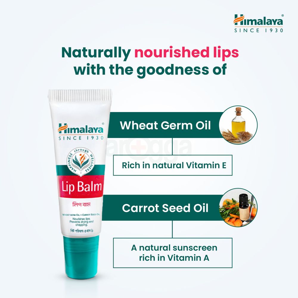 Himalaya Lip Balm 5g  