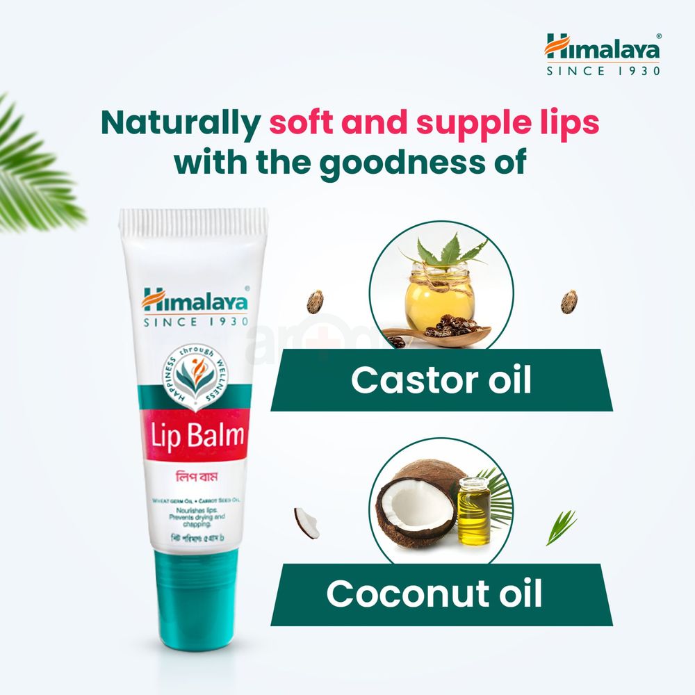 Himalaya Lip Balm 5g  