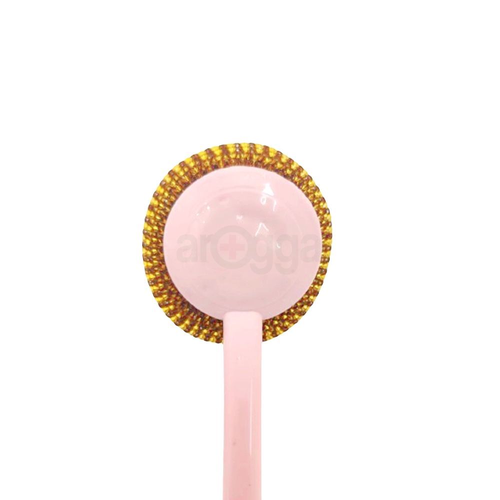 Proclean Silver Gold Scourer With Handle  