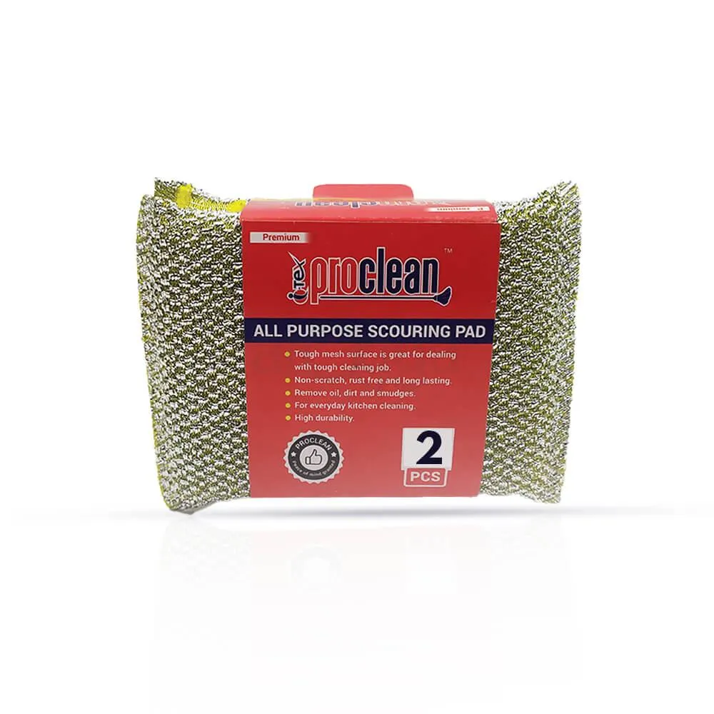 Proclean All Purpose Scouring Pad 4 Pcs  