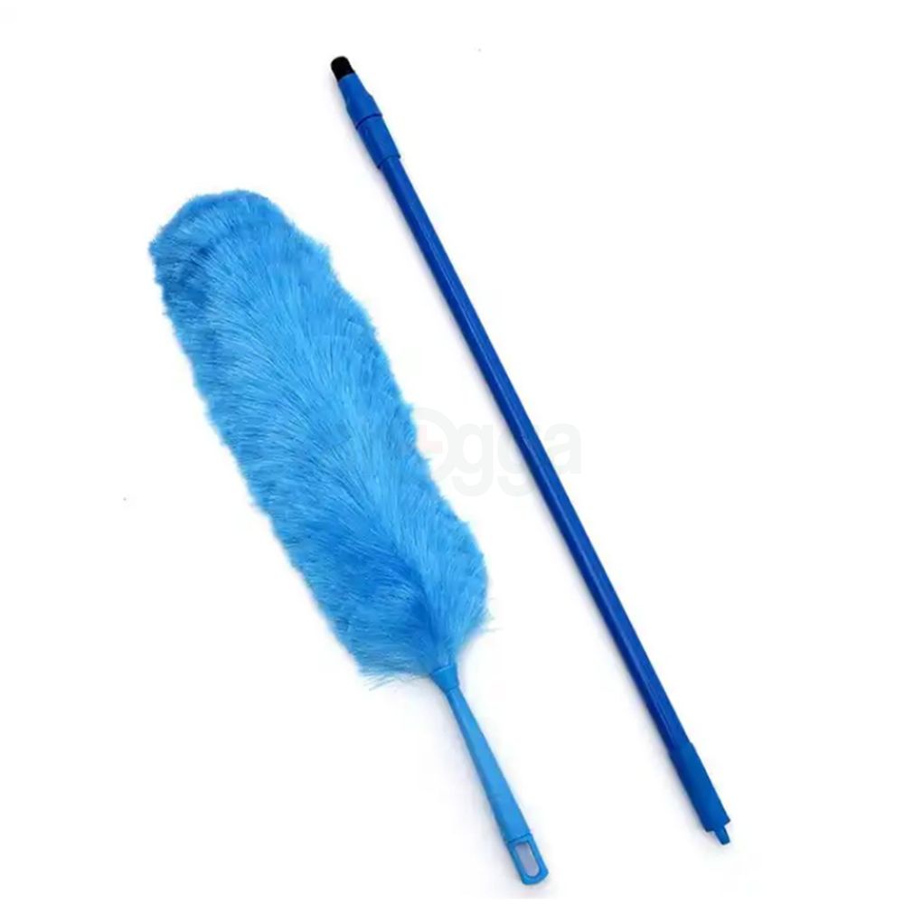 Proclean Long Hand Telescopic PP Duster  