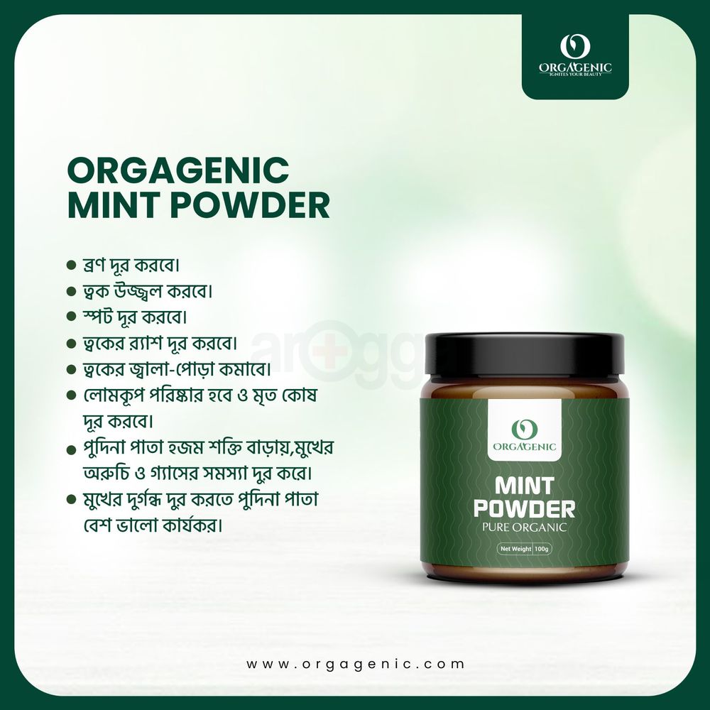 Orgagenic Mint Powder 100g  