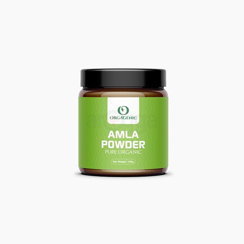 Orgagenic Amla Powder 100gm  