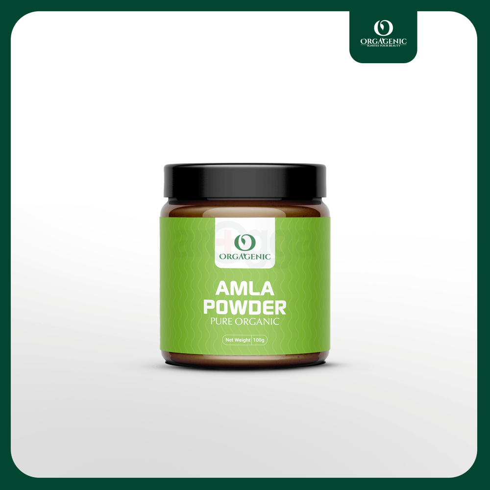 Orgagenic Amla Powder 100gm  