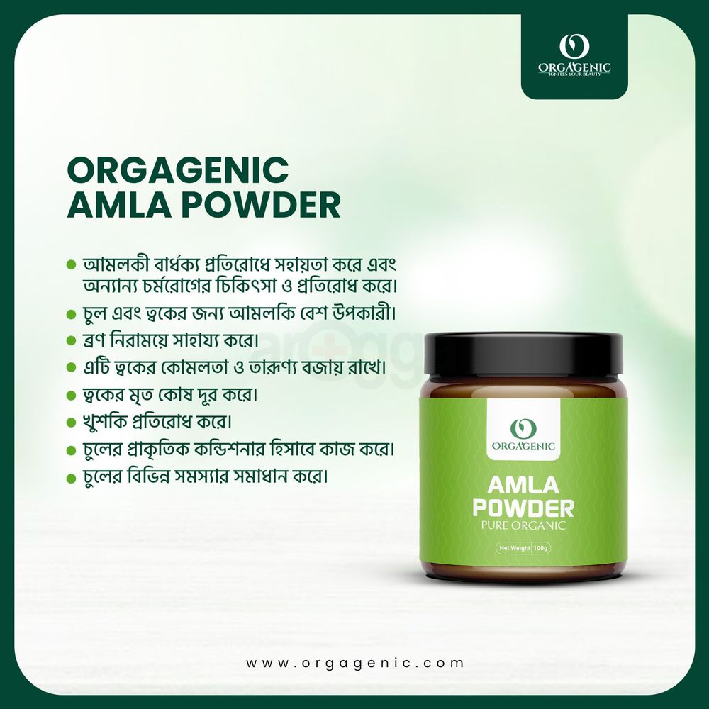 Orgagenic Amla Powder 100gm  