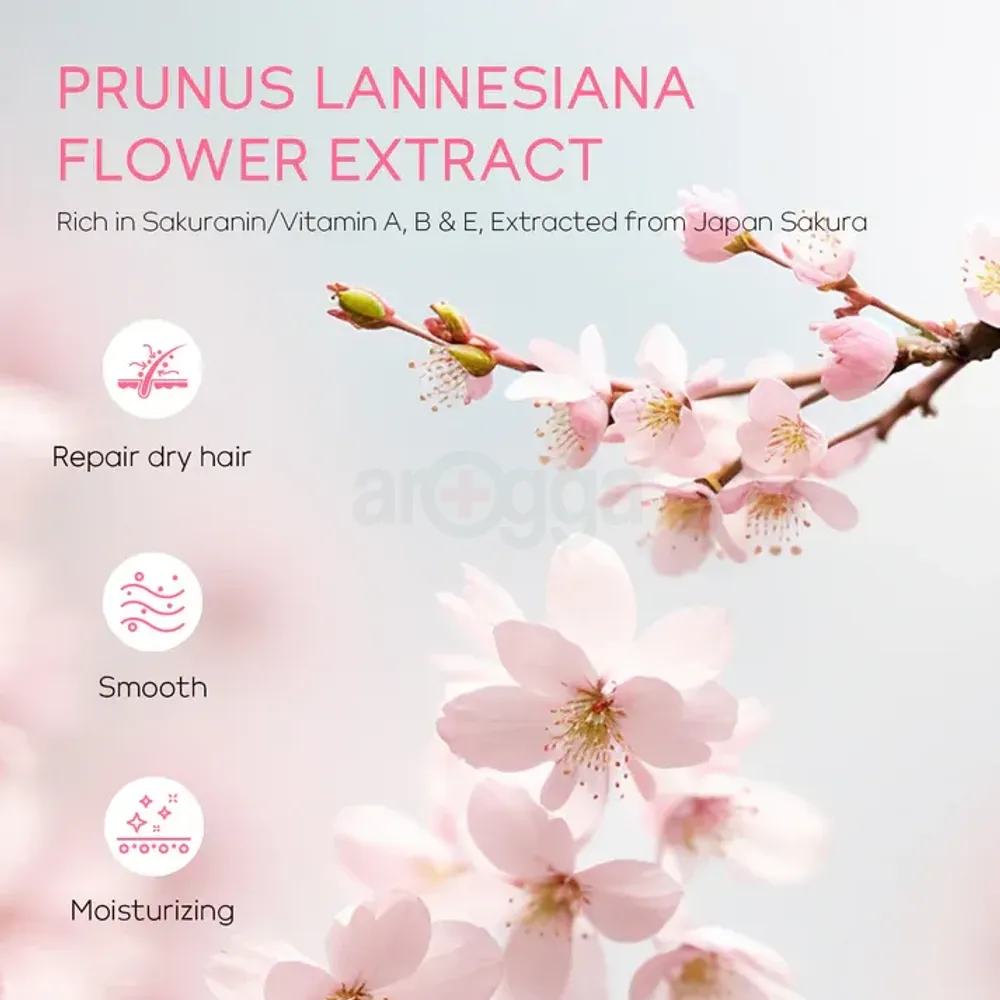 Laikou Japan Sakura Hair Conditioner- 100ml  