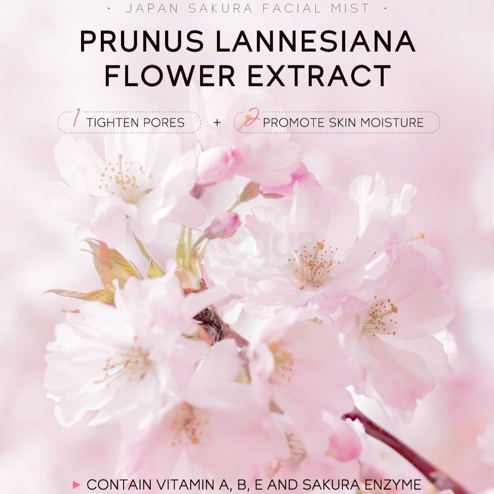 Laikou Japan Sakura Facial Mist - 100ml  