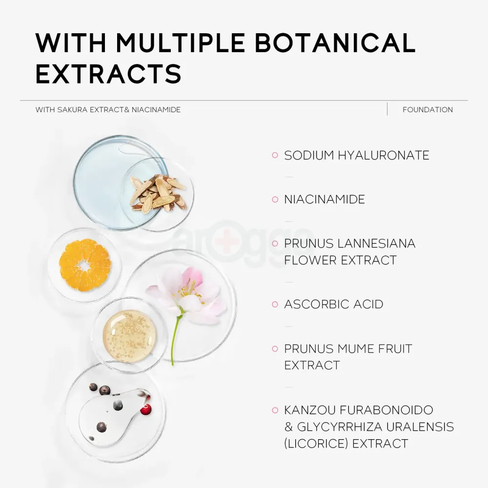 Laikou Japan Sakura Flawless Finish Foundation - Shade 240  