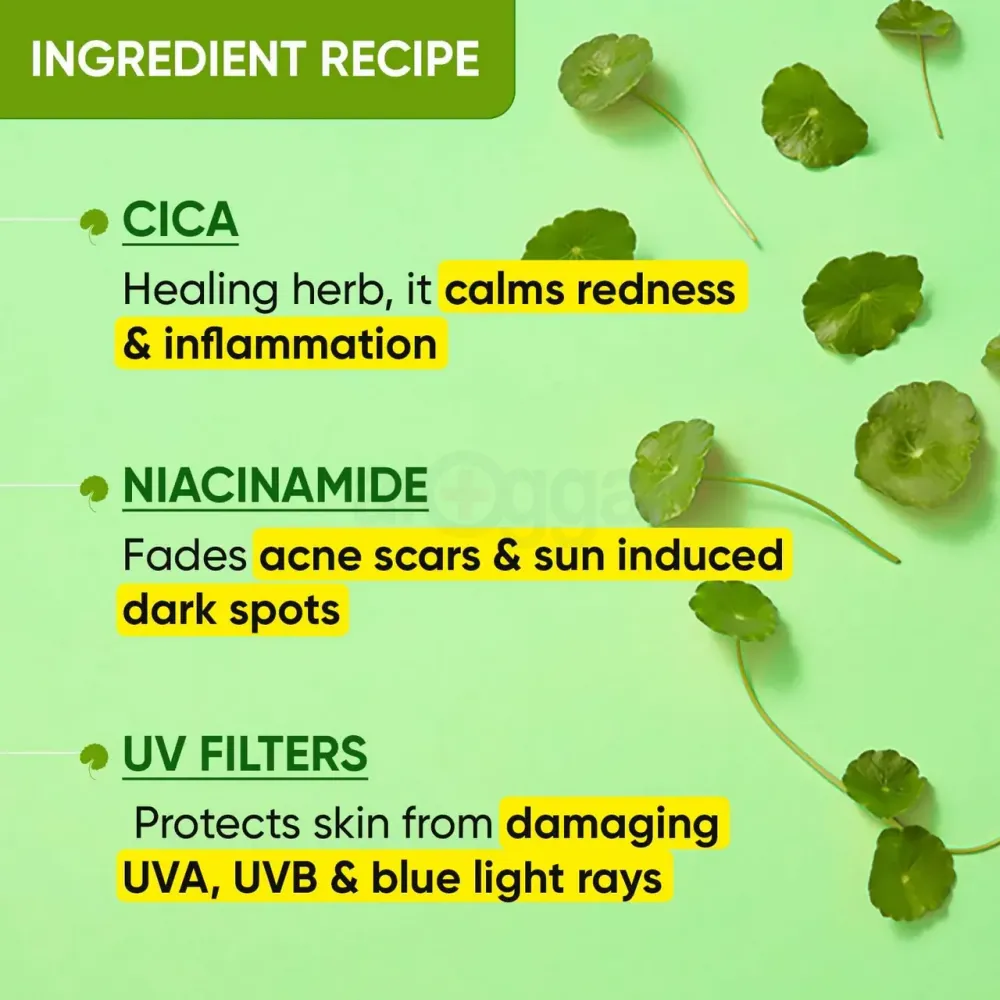 Dot and Key Cica Calming Mattifying Sunscreen SPF 50+ PA++++ with Niacinamide 50gm  