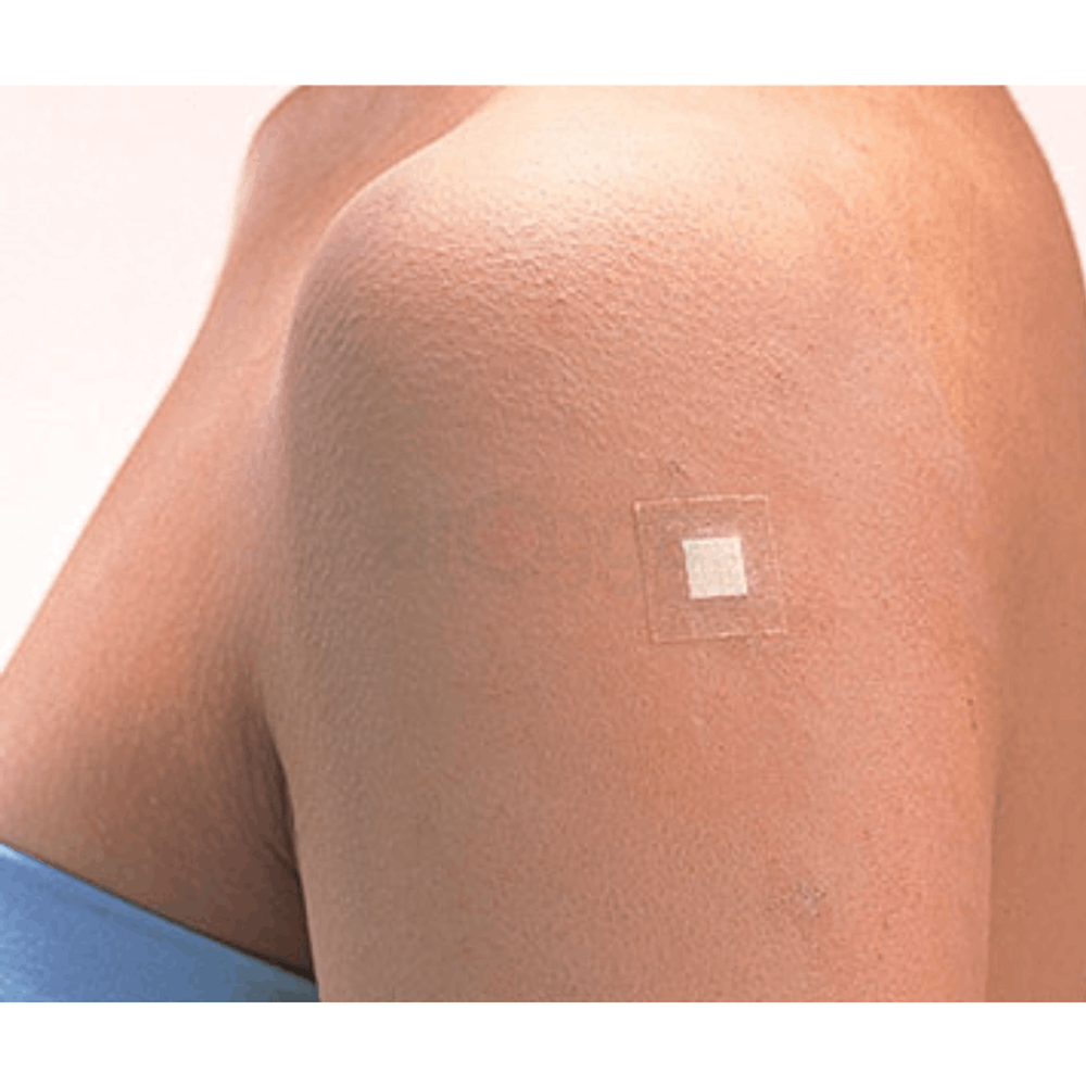 Nichiban Chushavan (S)  