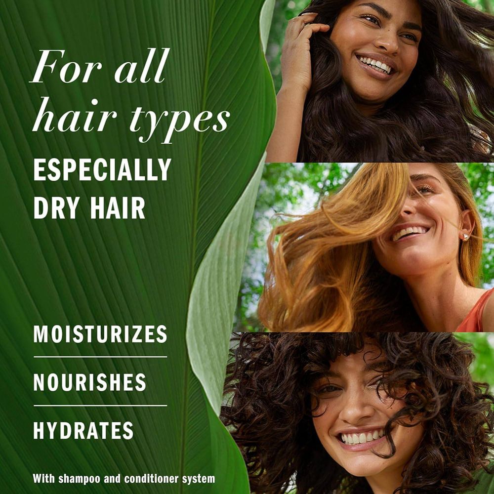 Herbal Essences Bio:Renew Hydrate Shampoo with Coconut Milk (0% Parabens & Colourants)  