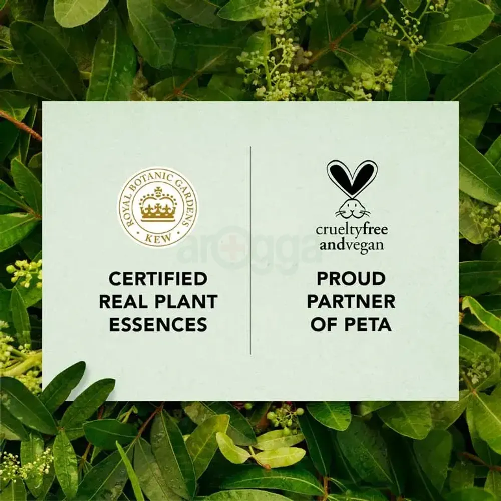 Herbal Essences Bio:Renew Hydrate Shampoo with Coconut Milk (0% Parabens & Colourants)  