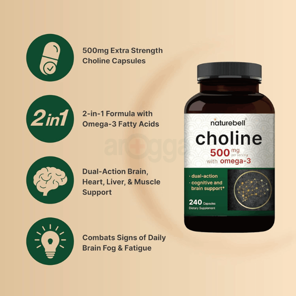 NatureBell Choline Supplements 500mg with Omega-3 Fatty Acids, 240 Caps  