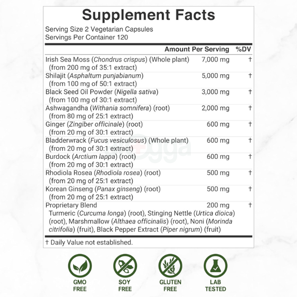 DEAL SUPPLEMENT Irish Sea Moss 7000mg Per Serving, 240 Veggie Capsules – 14 Superfood Complex – 3000mg Black Seed Oil, 2000mg Ashwagandha, 600mg Ginger  