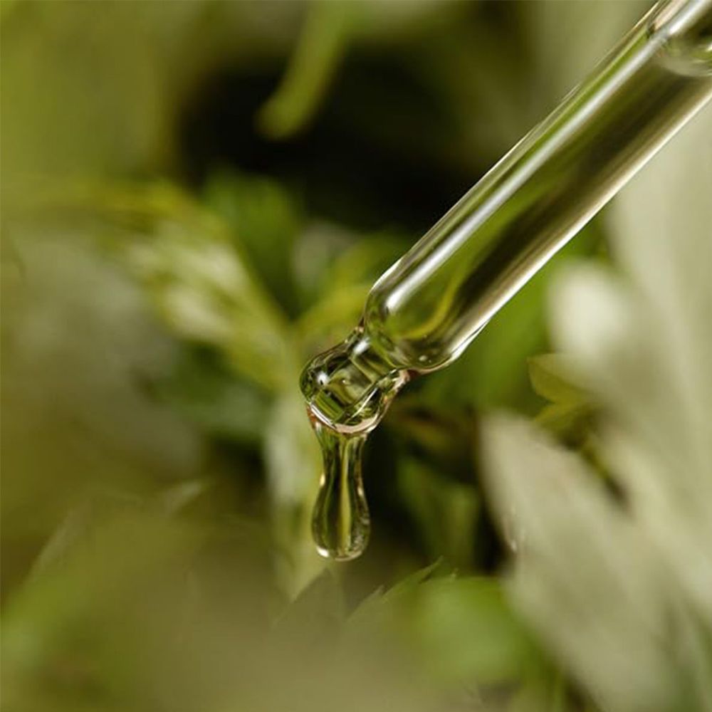 I'm from Mugwort Serum  